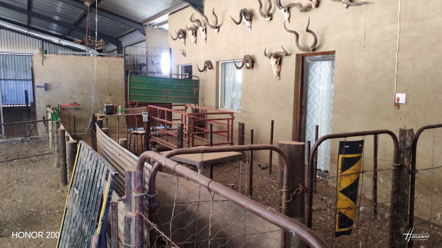 4 Bedroom Property for Sale in Middelburg Rural Eastern Cape